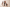 UGC: Why and How to Integrate Creator Content Into Your Strategy, 